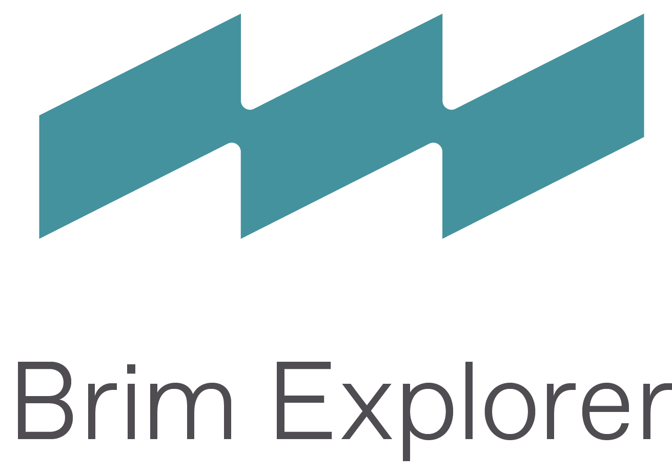 Brim Explorer